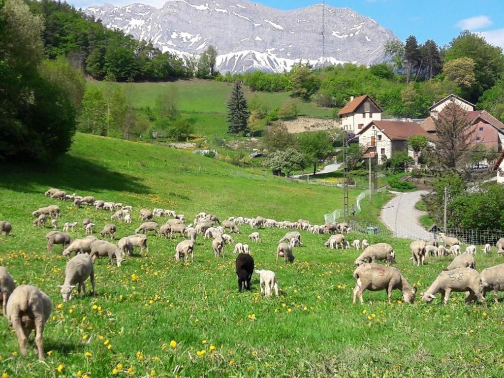 Les Clarines Perceneige - Chambre D'Hotes Vue Sur Montagne & Spa Saint-Jacques-en-Valgodemard Luaran gambar